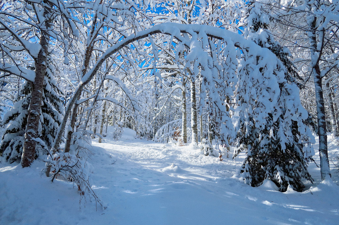 Notre lecteur David Myers de Commugny s'est promené dans la neige dans la région.
