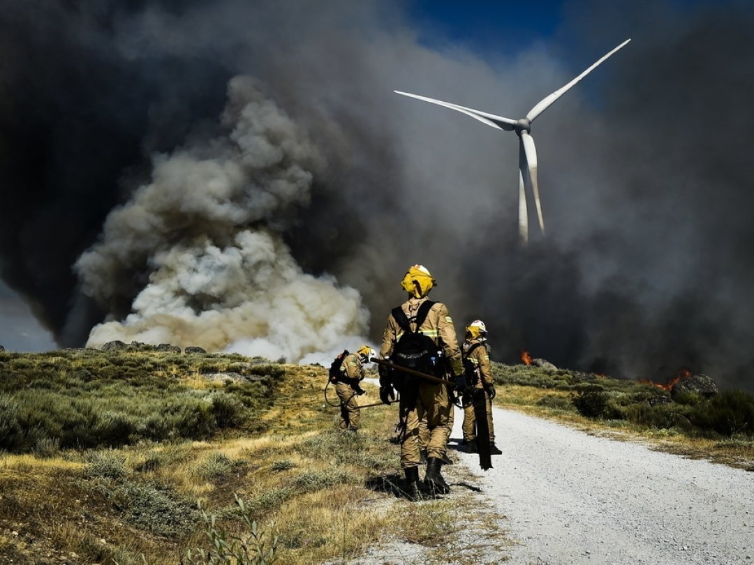 Depuis le 1er janvier, les incendies ont ravagé 662'776 hectares de forêts dans l'UE.